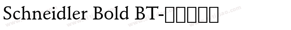 Schneidler Bold BT字体转换